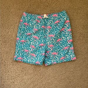 Boy’s Chubbies “ The Domingos are for Flamingos” Swim Trunks  Sz 6